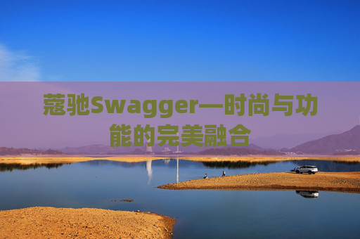 蔻驰Swagger—时尚与功能的完美融合